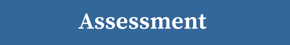 Assessment